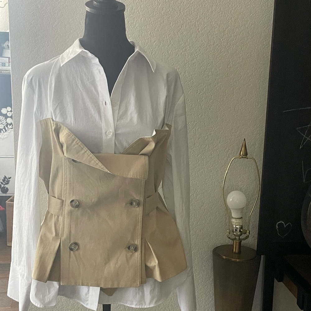 Zara shirt dress